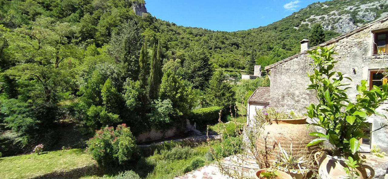 Au Bord Du Verdus Saint-Guilhem-le-Desert Exterior photo